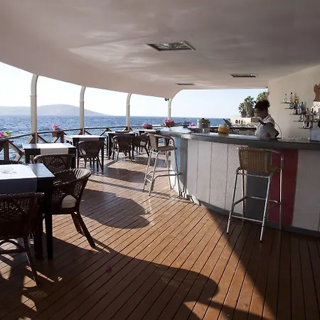 Arion ギュムシュルク