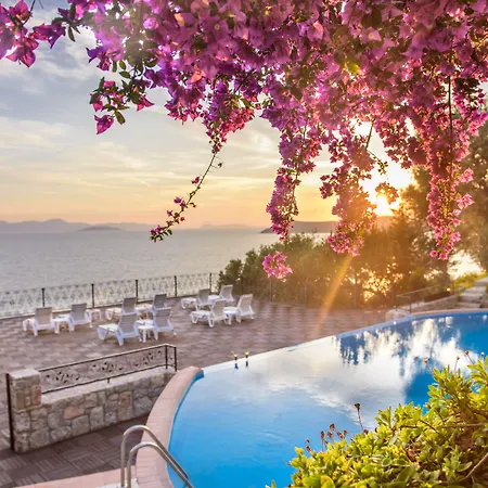 Arion ギュムシュルク