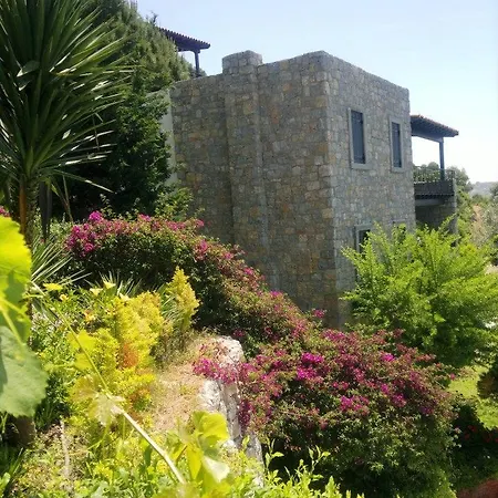 Arion Hotell