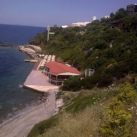 Arion ギュムシュルク