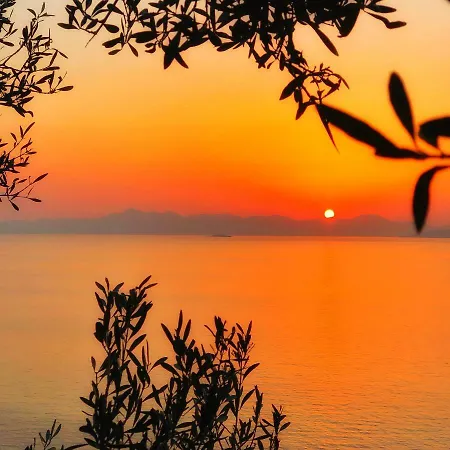 Arion ギュムシュルク