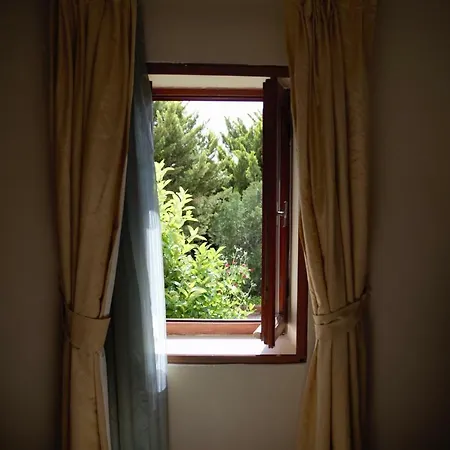 Arion 3* ギュムシュルク