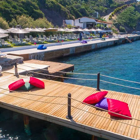 Arion 3* ギュムシュルク