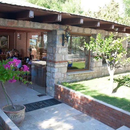 Arion ギュムシュルク