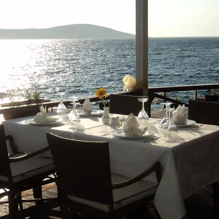 ホテル Arion ギュムシュルク