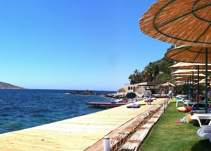 Hotel Arion Gumusluk