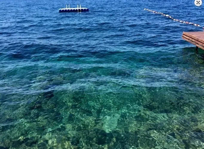 Arion Ξενοδοχείο 3*