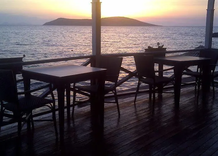 Arion Ξενοδοχείο 3*