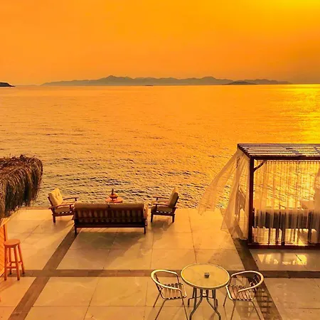 Arion 3* Gümüşlük