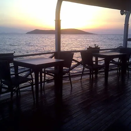 Arion Hotel 3*