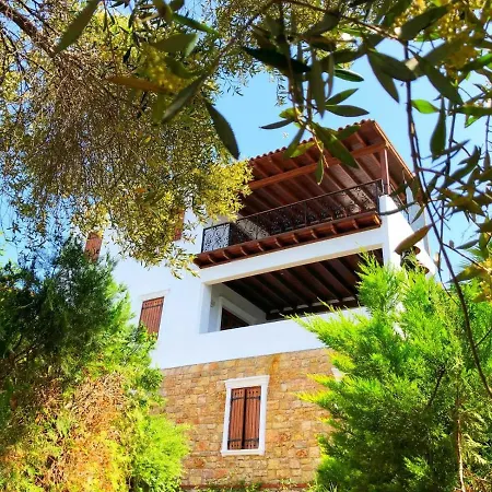 Arion גומושלוק