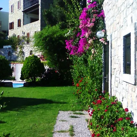 Arion 3* גומושלוק