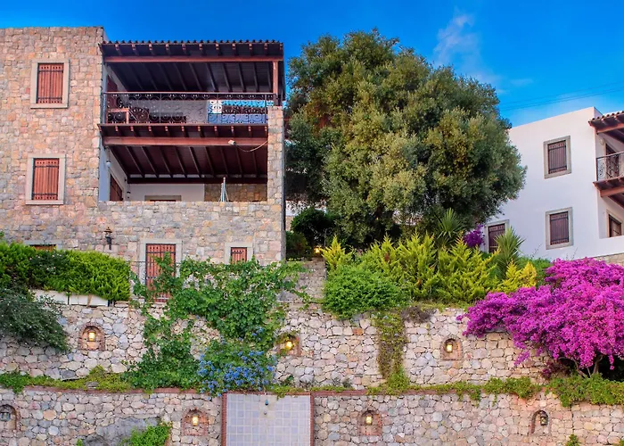 Arion Hotel Gumusluk