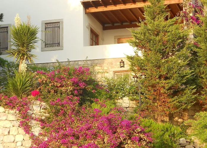 Arion Hotel Gumusluk