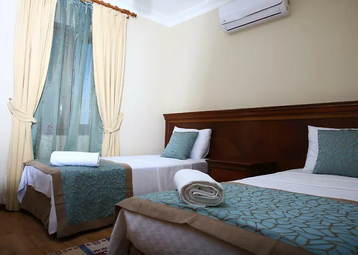 Hotel Arion Gumusluk