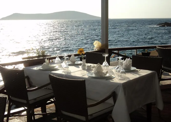 Hotel Arion Gumusluk